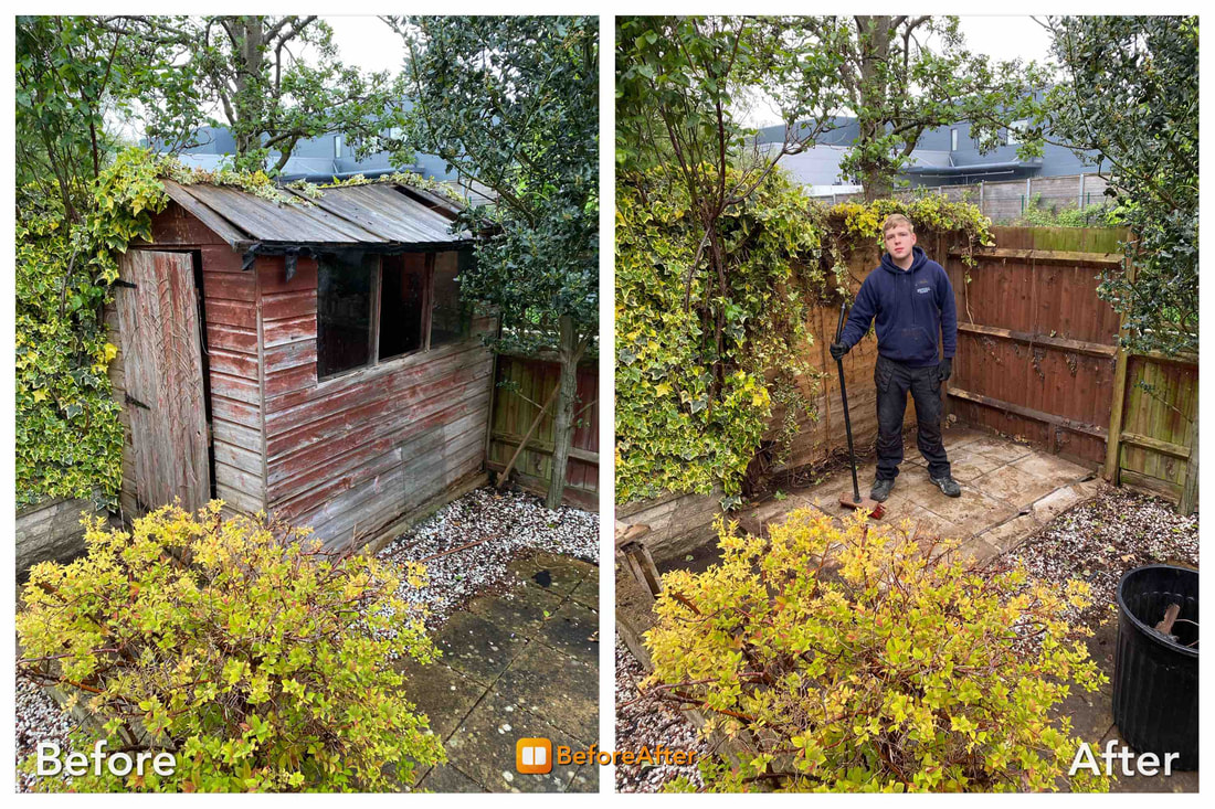 Shed clearance
