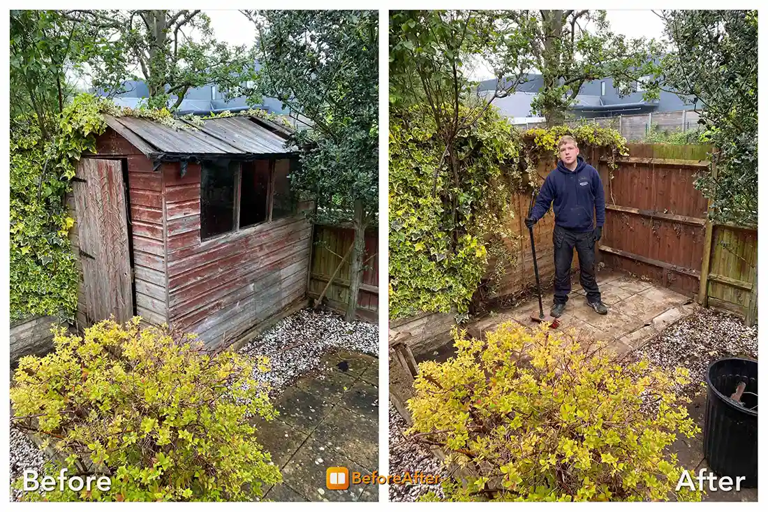 Shed Clearance