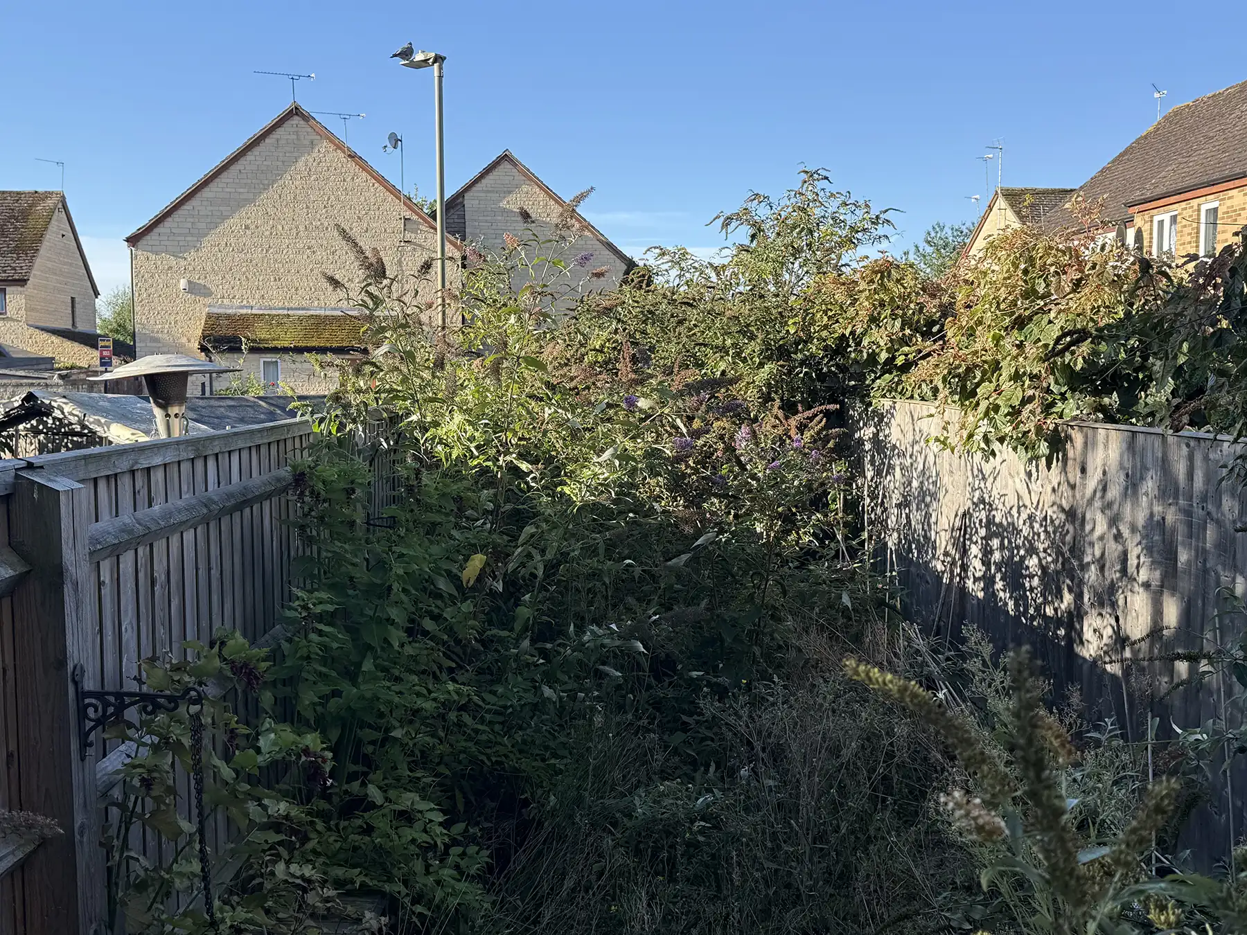 Garden Clearance Before clearing